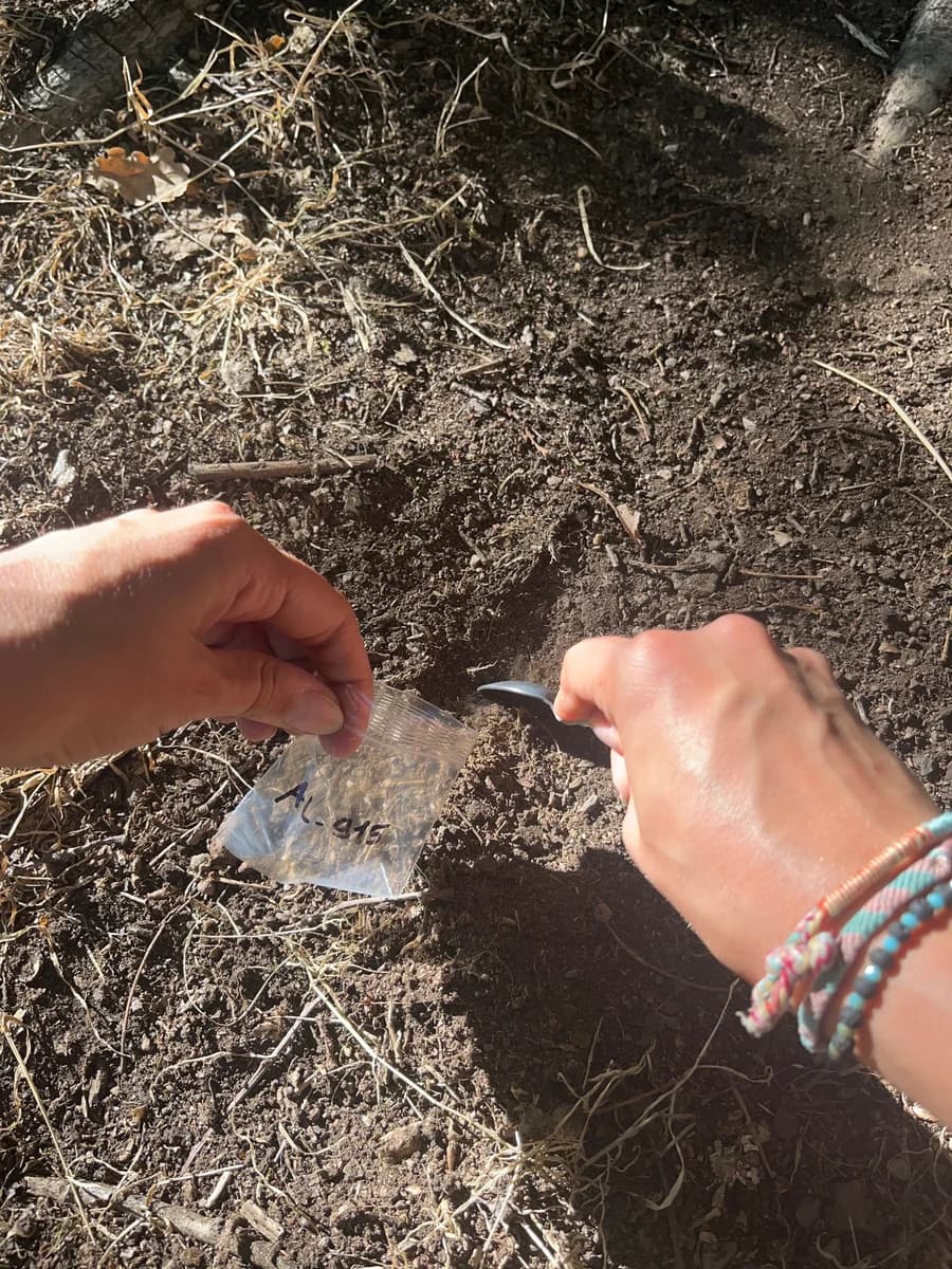Hands gathering a soil sample into a bag